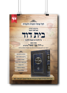 בית דוד