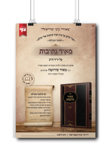 מאיר נתיבות