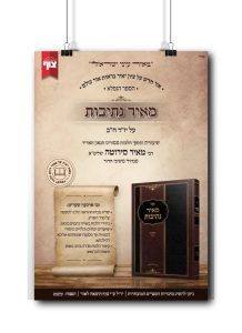 מאיר נתיבות
